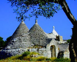 la-puglia-territorio-dell-olio-extravergine-di-olia-pugliese